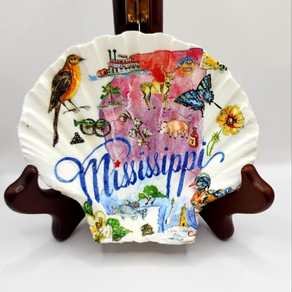 SCALLOPED FAN SHELL 